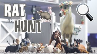 The Late Night Show With Jedi & Loki Rat Hunt