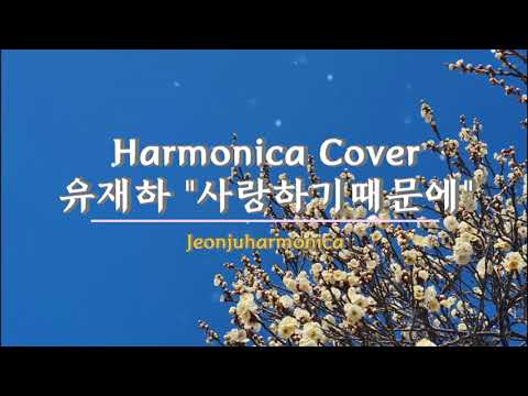 사랑하기때문에 (텅드럼 하모니카 단선율 숫자악보) - 유재하