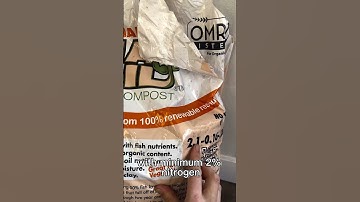 Budget Friendly Tips for DIY Indoor Seed Starting