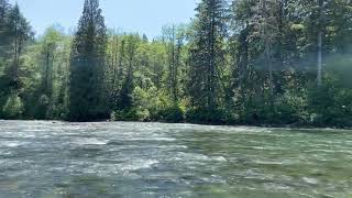 Middle Fork - Snoqualmie River