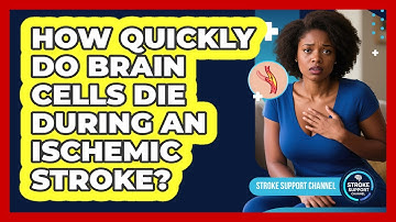 How Quickly Do Brain Cells Die During An Ischemic Stroke? - Stroke Support Channel