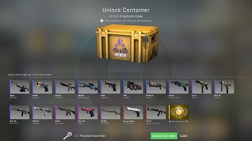 Opening 1 Case Every Day Until I Get A Gold #28
