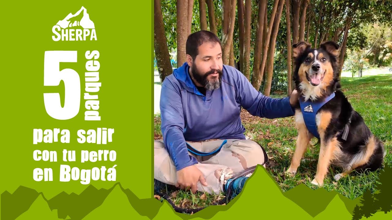 El parque para perros en Bogotá que tiene atracciones y la entrada es gratis