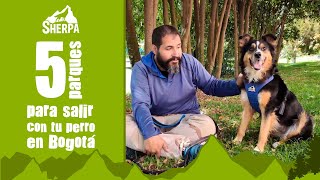 5 Parques para salir con mi perro en Bogotá