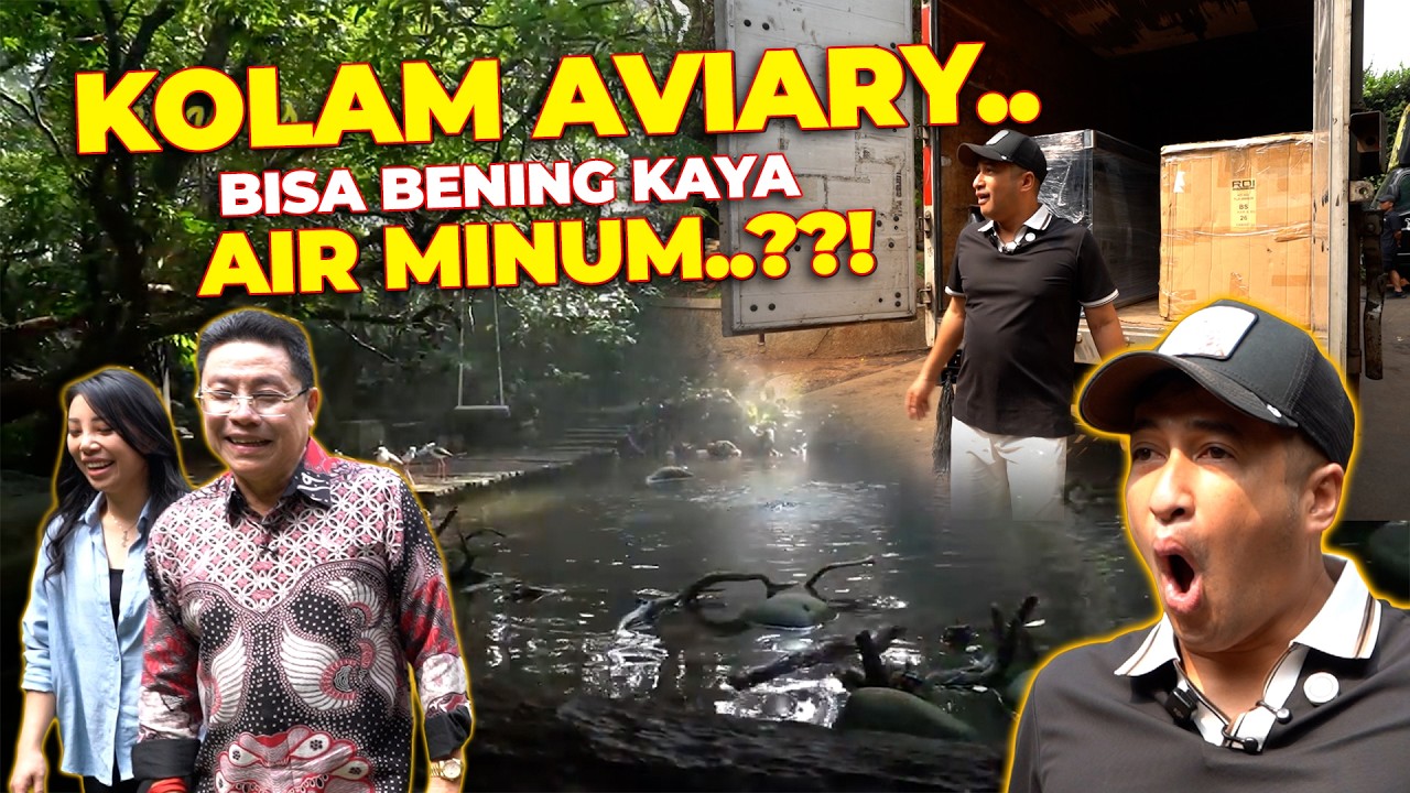 Latest Title & Thumbnail