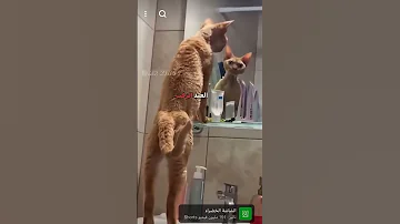 ١٨ مايو ٢٠٢٥ 
