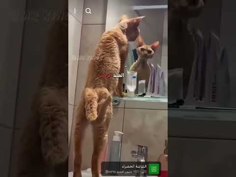 ١٨ مايو ٢٠٢٥