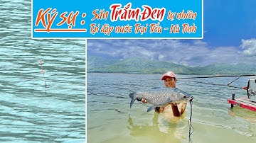 88. CÂU ĐÀI SĂN HÀNG : Chinh phục cá Trắm Đen tự nhiên tại Hà Tĩnh...