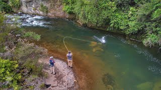 This River is Incredible, Big Fish Everywhere. by Trout Hunting NZ 576,907 views 4 months ago 19 minutes
