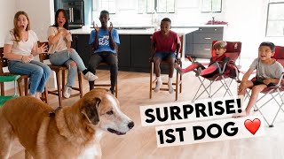 WE GOT A DOG!!! ❤️ Surprising Our Kids