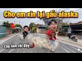 Dương KC bất ngờ đòi lại gấu Alaska và phá lốp xe | Thịnh Ethix