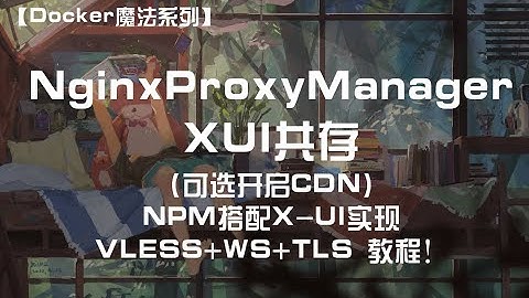【Docker魔法系列】NPM与XUI共存！Nginx Proxy Manager搭配X-UI实现Vless+WS+TLS 教程可选开启CDN NPM反代实现x-ui面板和网站共存 完成上网节点搭建！
