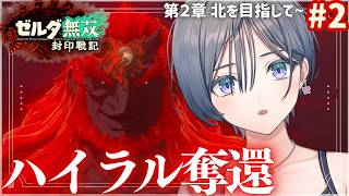ゼルダ無双│アクションが爽快で楽しすぎる神ゲー！ハイラルを奪還していくぞ！【綺沙良/にじさんじ】