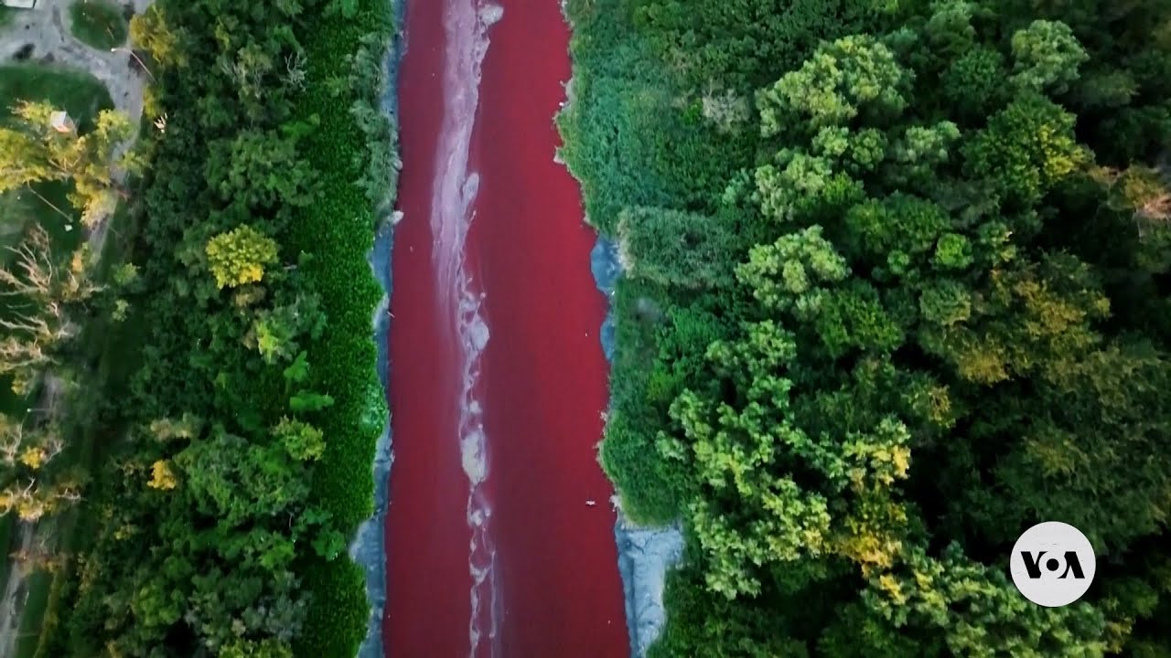 River in Argentina turns red, alarming residents | VOA News