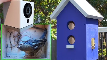 How I Made a Webcam Birdhouse