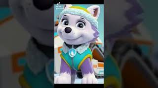 Everest | PAW Patrol Wiki | Fandom