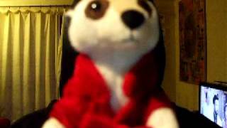 simples... meerkat screenshot 5