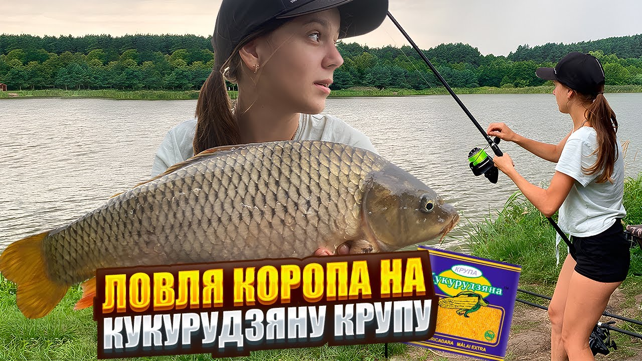 Ловля коропа на кукурудзяну крупу.Родатичі, Сонячна Галявина.