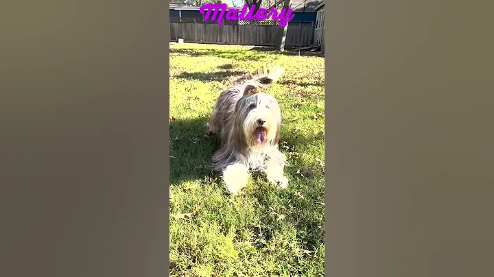 Mallory 12:15:2022