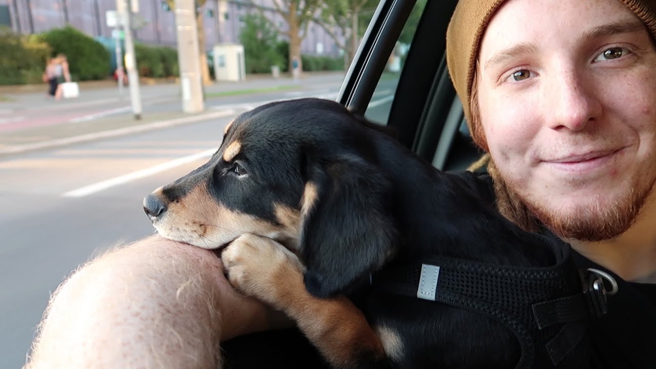 ALLES ZUR ungespielt YouTube