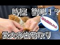 愛犬の歯石を取ったら凄かった…　＃９