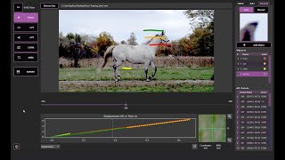 Phantom Cine Analyzer Life Science and Gait Analysis
