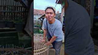 Macucu bikin ngakak #funny #bobodoransunda #comedy #lucu #bobodoran #komedi #memes #absurdhumor