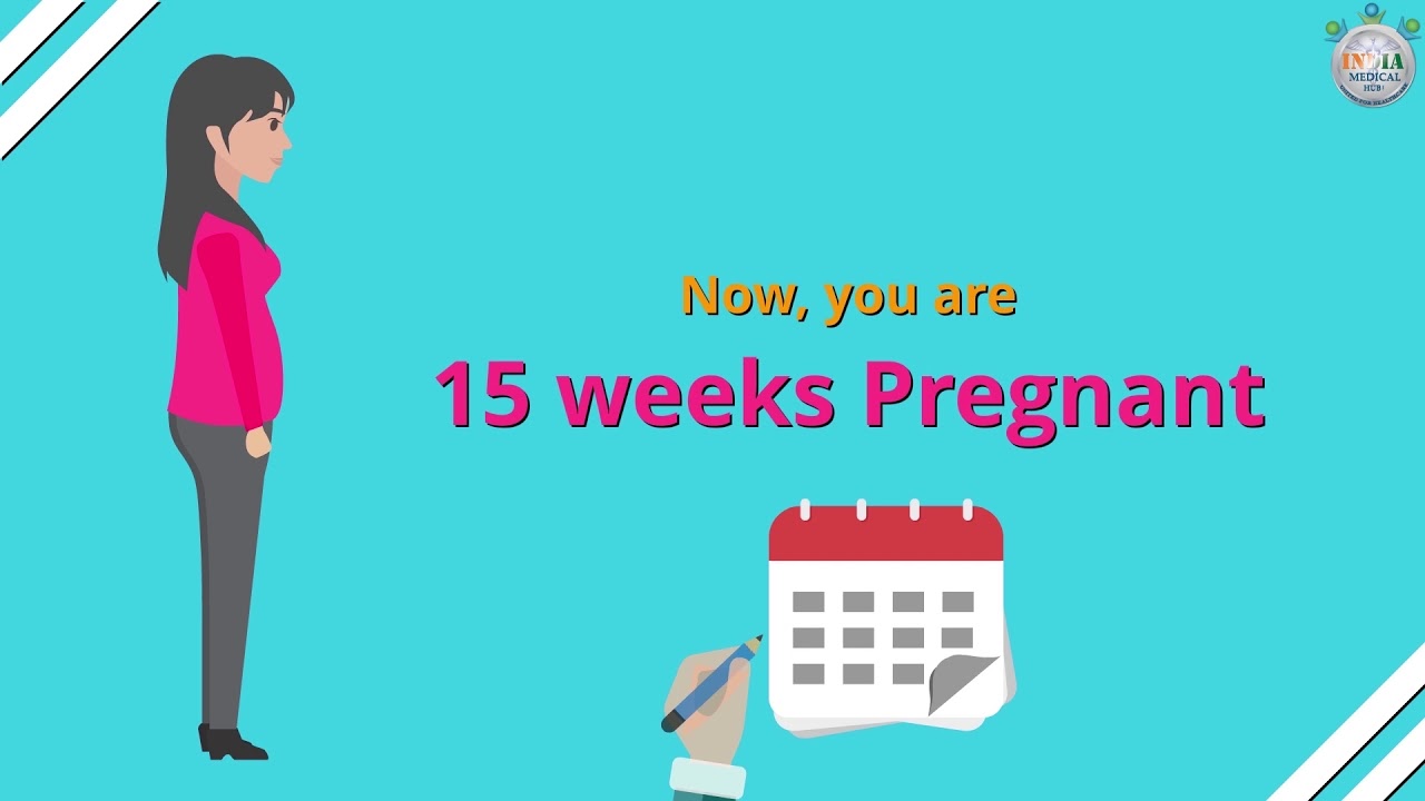 How Many Months Pregnant You Are At 15Th Week Of Pregnancy   Part 1