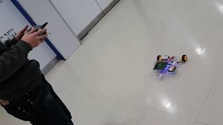 Embedded Master Course Project: Mini RC Car
