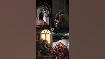سورة البقره|وَاتَّقُوا يَوْمًا تُرْجَعُونَ فِيهِ إِلَى اللَّهِ ۖ❤️🤍
