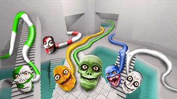 Which Wyrm is Best in The Classrooms?