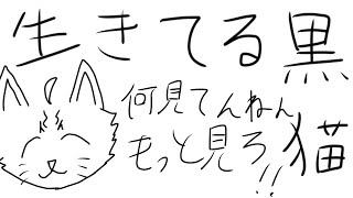 【生きてる配信】内容がないようｗｗｗうおっｗ【 VTuber　黒猫龍星 】　＃ケモノVTuber