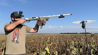 Epic Dove Opener 2022!!! Sunflower Field Limits!!!