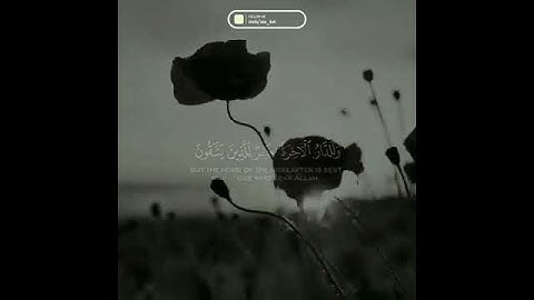 محمد اللحيدان يحاكي المنشاوي بتلاوة خيالية.