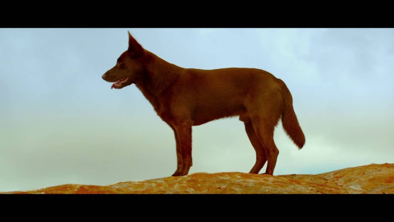 Red Dog 3 Red Dog 3
