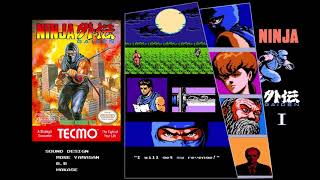 11. Seeking Truth - Ninja Gaiden 1 (NES) - Extended