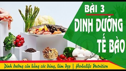 Bài 3: Cung cấp dinh dưỡng tế bào- CHẾ ĐỘ DINH DƯỠNG CÂN BẰNG, CẢI THIỆN VÓC DÁNG-SỨC KHỎE-LÀM ĐẸP