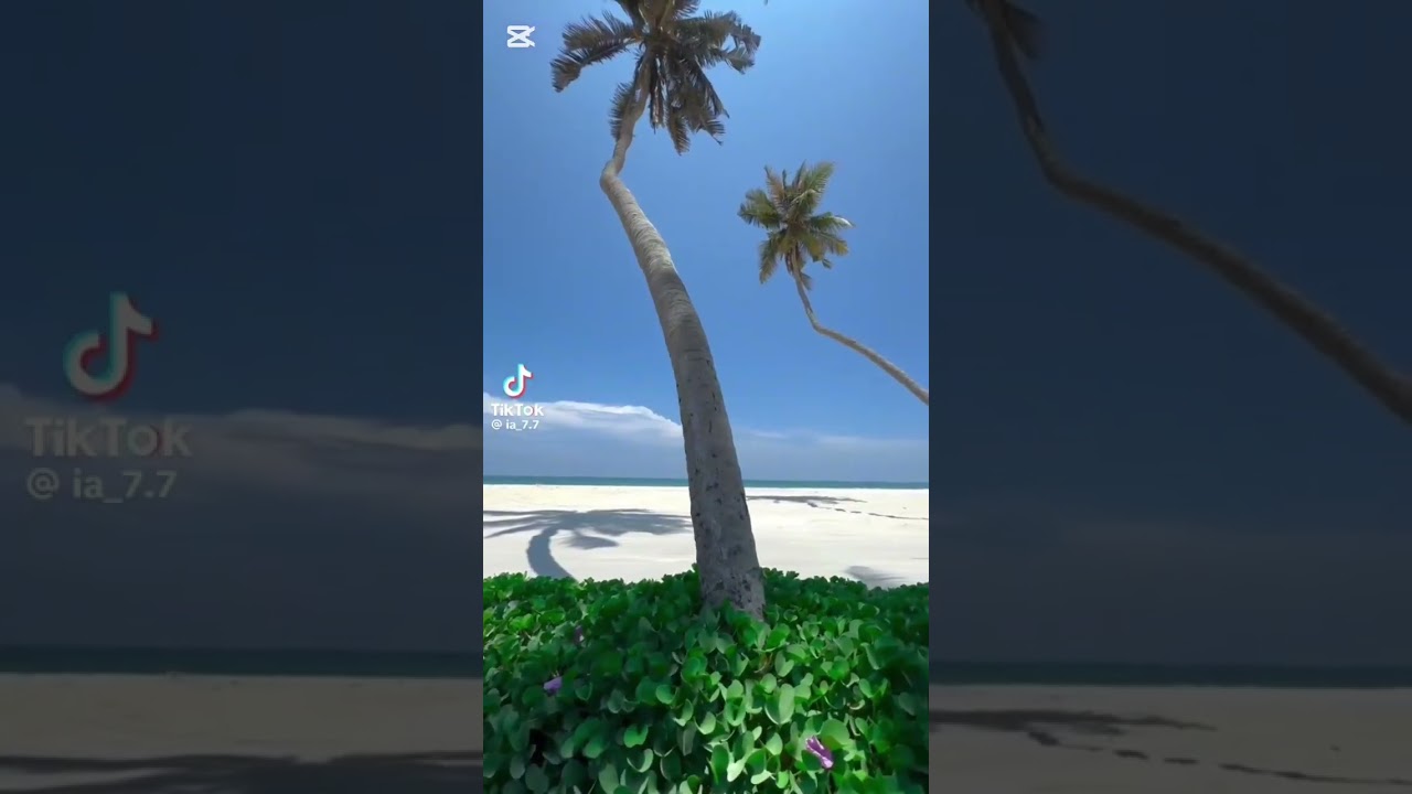 بسير 🚶🚶🚶