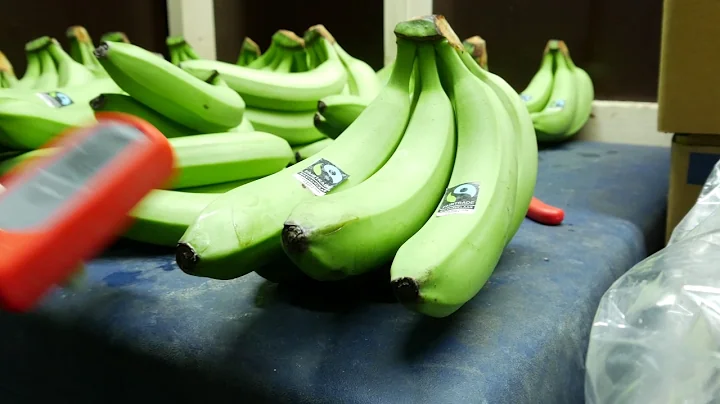 Quality Control AgroFair