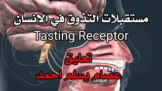 مستقبلات التذوق في الانسان Taste Receptor