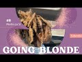 How To Bleach Locs | Bleaching Starter Locs | Blonde Starter Locs | 8 Months Loc Journey Update