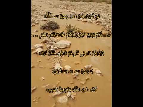 غثاء كغثاء السيل الوهن
