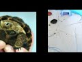Recycling Medical Materials