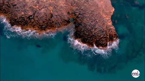 ALTAR OF WORSHIP WITH APOSTLE JOSHUA SELMAN