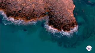 ALTAR OF WORSHIP WITH APOSTLE JOSHUA SELMAN