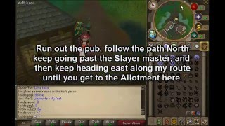 Runescape - Herb Run - 100k+ in 5 minutes