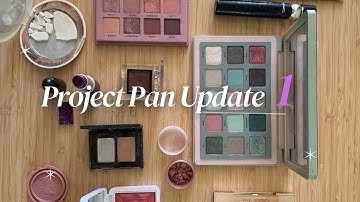 Project Pan Update | Real Progress, Honest Challenges & a chaotic Deck of Panning 😅.