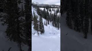 Just below/NE of Rock Lake Snowbike triggered Avalanche persistent slab
