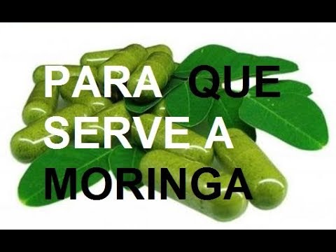 Para Que Serve A Moringa Oleifera Beneficios Youtube