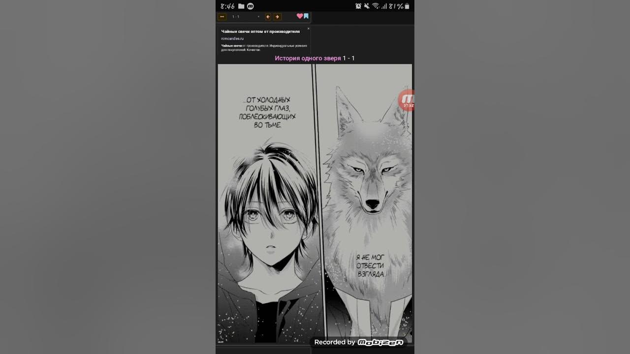 Номер 1 для животных. Номер 1 для животных